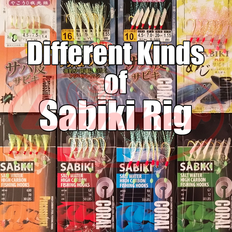 Lunker sabiki kait rig bercaha - Saltwater Fishing Hook ulasan dan harga